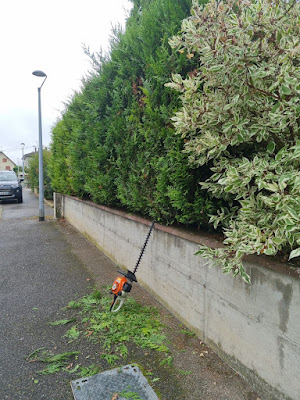 Jardinier Talence à Talence