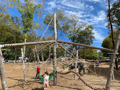 Woodstock Downtown Playground