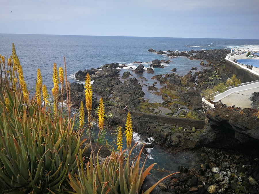 Cosmopolita Cafeteria-Pizzeria