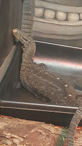 Zoo «Catoctin Wildlife Preserve and Zoo», reviews and photos, 13019 Catoctin Furnace Rd, Thurmont, MD 21788, USA