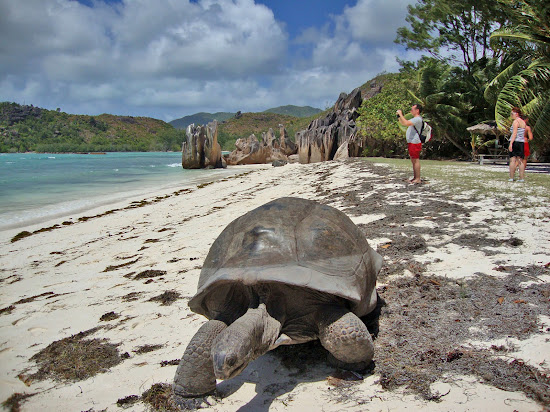 Laraie Bay Beach