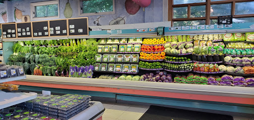 Grocery Store «Back To Earth Natural Foods», reviews and photos, 306 S Main St, New City, NY 10956, USA