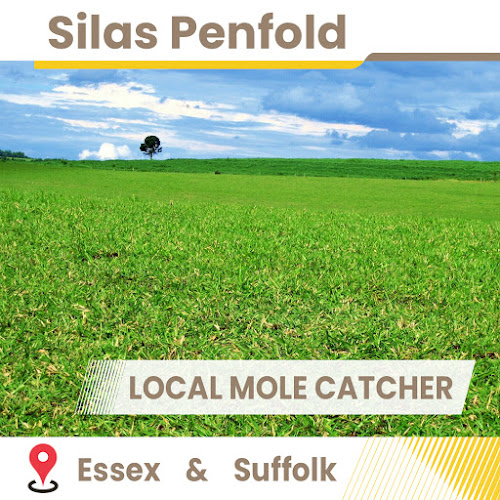 Comments and reviews of Silas Penfold - Mole & Wasp Catcher