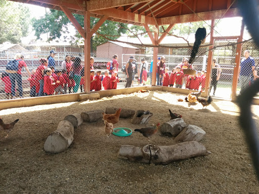 Park «Montebello Barnyard Zoo», reviews and photos, 600 Rea Dr, Montebello, CA 90640, USA