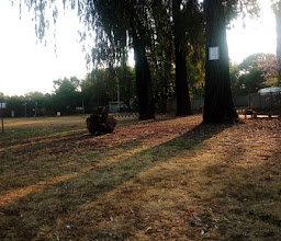 Jansen Park photo