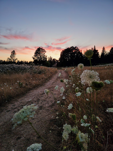 Golf Course «RedTail Golf Center», reviews and photos, 8200 SW Scholls Ferry Rd, Beaverton, OR 97008, USA