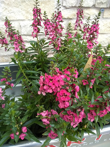 Hardware Store «Westlake Ace Hardware 109», reviews and photos, 550 US-175 Frontage Rd #108, Seagoville, TX 75159, USA