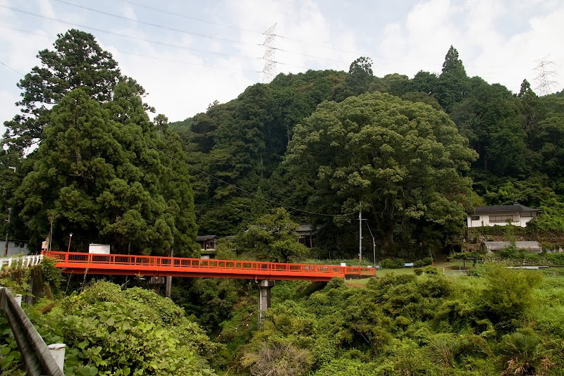 八幡神社勧請杉（鳥居杉）