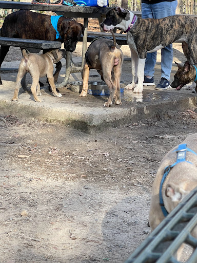 Park «Piney Wood Park», reviews and photos, 400 E Woodcroft Pkwy, Durham, NC 27713, USA