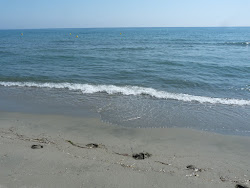 Zdjęcie Plage de la Marana z proste i długie