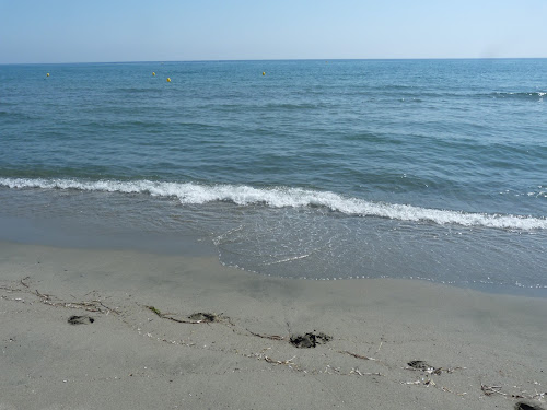 Plage de la Marana photo #2