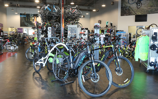 Bicycle Store «Bicycle World of Katy», reviews and photos, 24555 Katy Fwy, Katy, TX 77494, USA