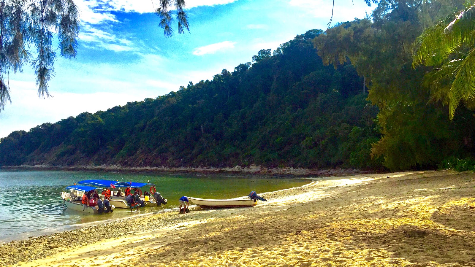 Foto van Rimba Resort beach gelegen in een natuurlijk gebied