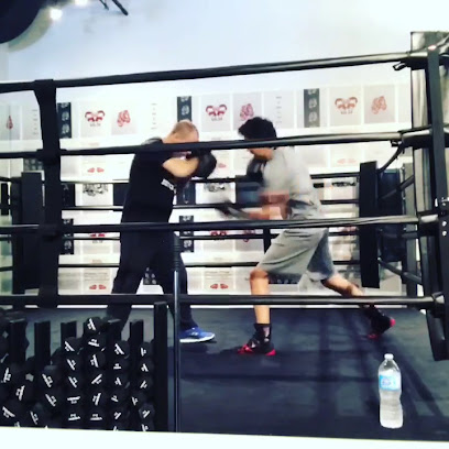 Ali Boxing Studio