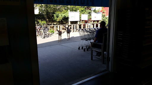 Grocery Store «Pioneer Market», reviews and photos, 21 Broadway Ave, Fair Harbor, NY 11706, USA