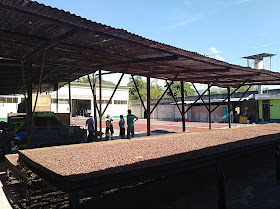 Cooperativa Agroindustrial Cacao Alto Huallaga