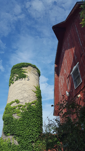 Vintage Clothing Store «Muse Atelier», reviews and photos, 5150 W Michigan Ave, Ypsilanti, MI 48197, USA