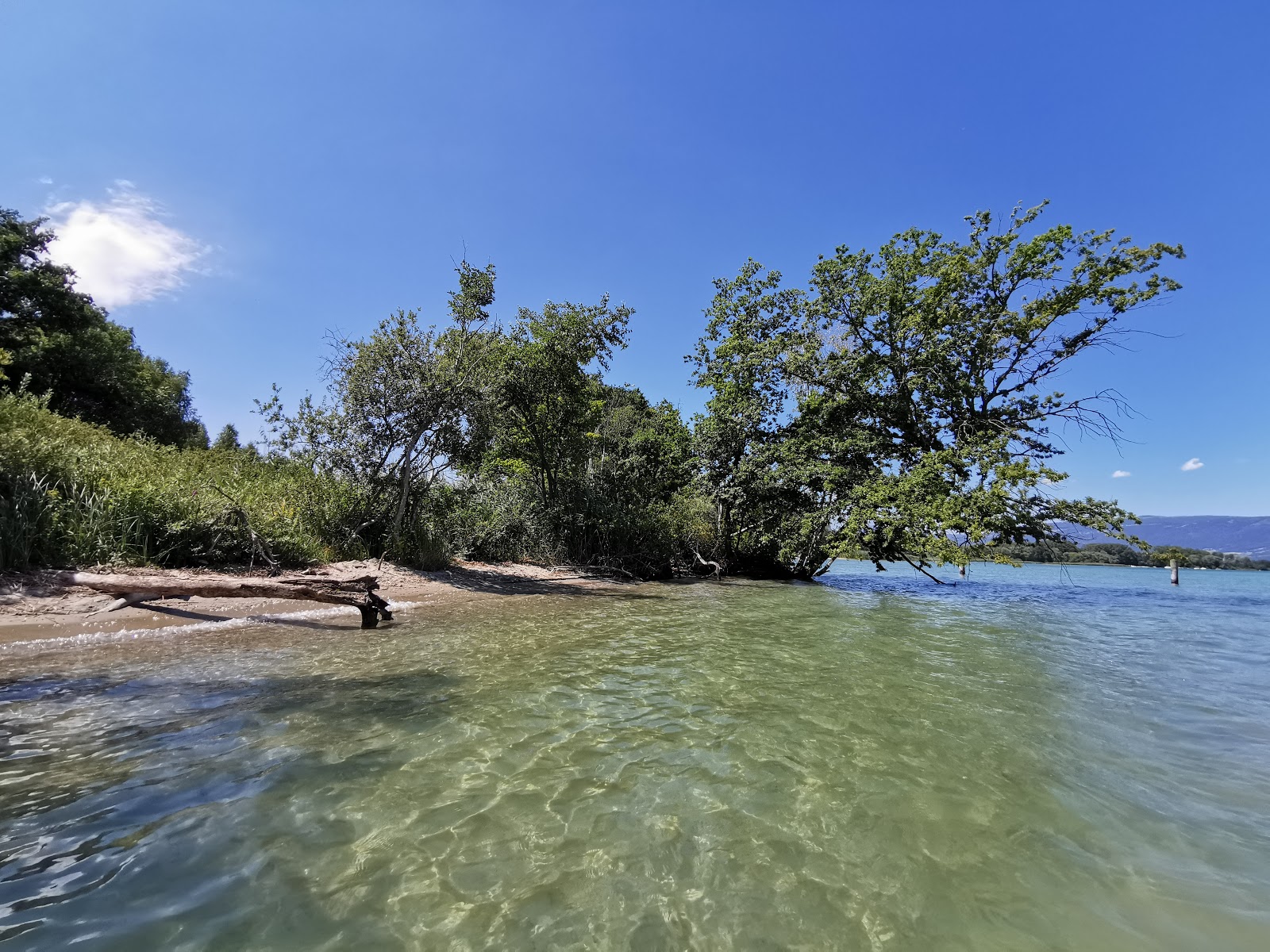 Fotografija Plage de la Petite Amerique divje območje