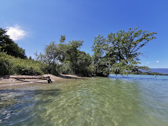 Plage de la Petite Amerique