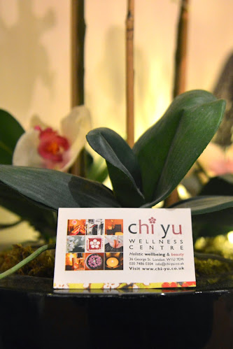 Comments and reviews of Chi Yu