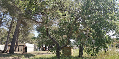 Ecole Montessori Internationale de Cabriès à Cabriès