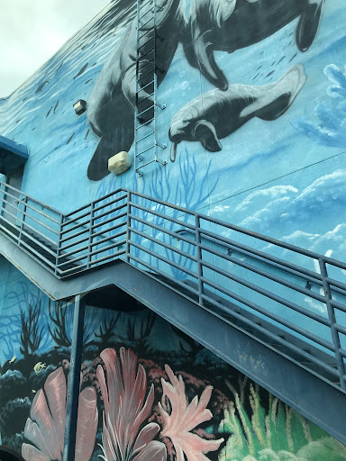 Gift Shop «Mermaid», reviews and photos, 7511 W Irlo Bronson Memorial Hwy, Kissimmee, FL 34747, USA