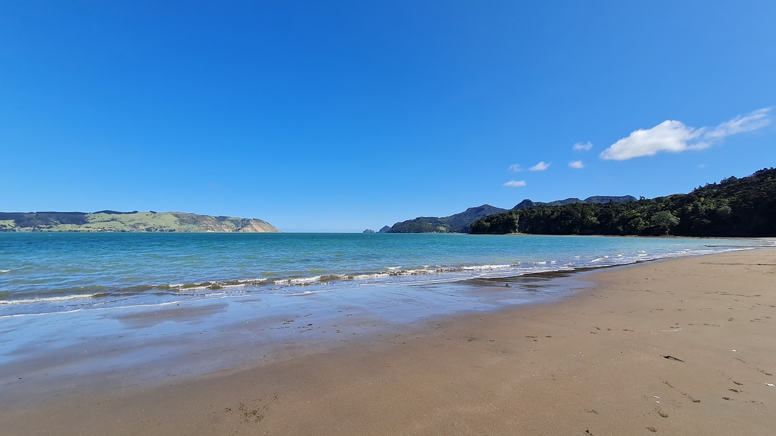 Photo de Kaitarakihi Beach situé dans une zone naturelle