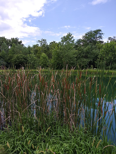 Public Golf Course «Beech Creek Golf Course», reviews and photos, 1831 Hudepohl Ln, Cincinnati, OH 45231, USA