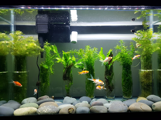 Pet Supply Store «PetSmart», reviews and photos, 5154 Nicholson Ln, Kensington, MD 20895, USA