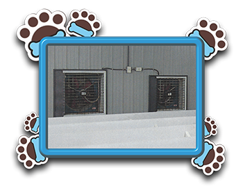 Pet Store «AA Ridgewood Kennels II», reviews and photos, 5401 Lincoln Hwy, Gap, PA 17527, USA