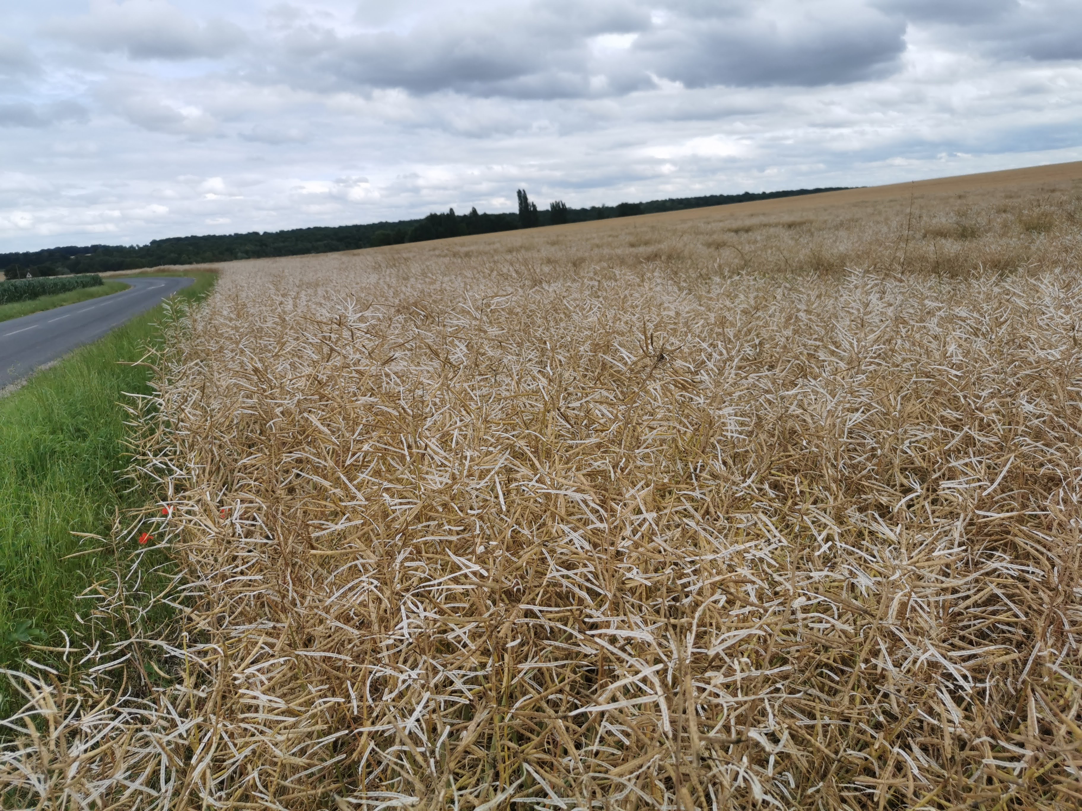 Photo n° 2 de l'avis de DANIEL.A fait le 19/04/2021 à 19:42