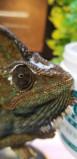 Pet Store «Fish Bowl», reviews and photos, 2117 E Race Ave, Searcy, AR 72143, USA