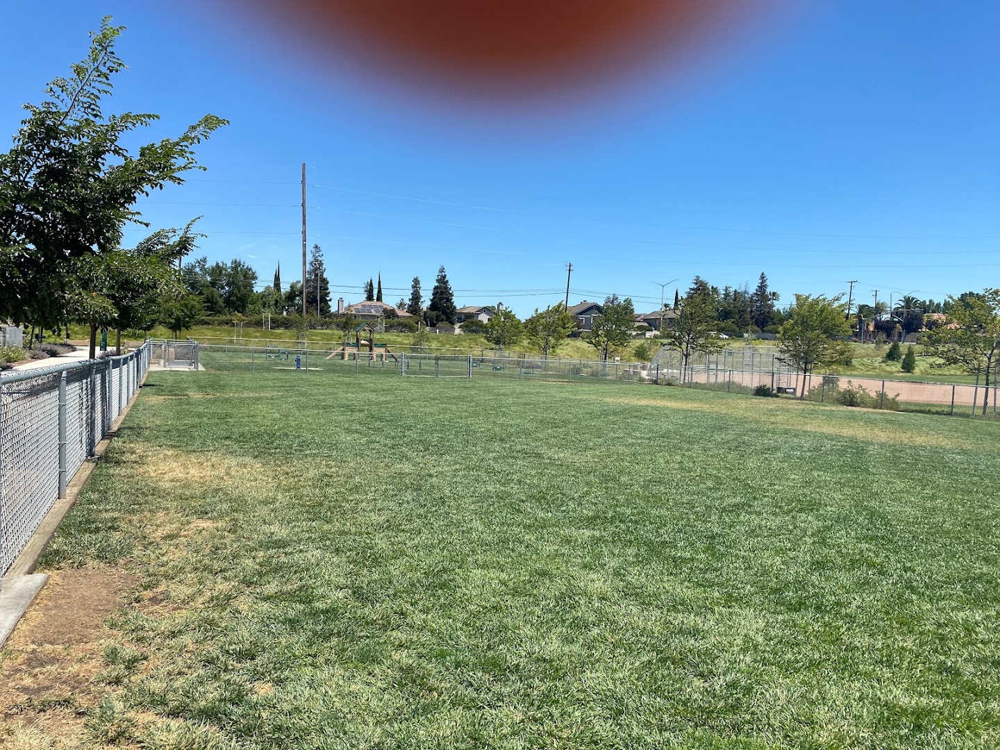 Koda Dog Park