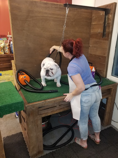 Pet Supply Store «Wags & Whiskers - West Nashville», reviews and photos, 3731 Charlotte Ave, Nashville, TN 37209, USA