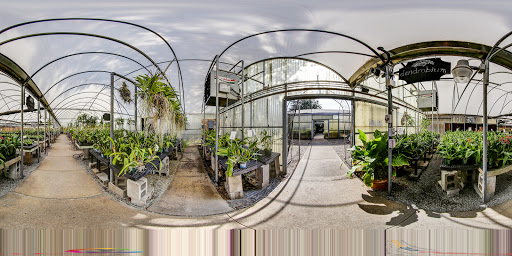 Florist «Dr Delphinium Flower & Orchid House», reviews and photos, 513 W Campbell Rd, Richardson, TX 75080, USA