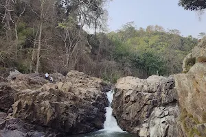 Pelga Falls image