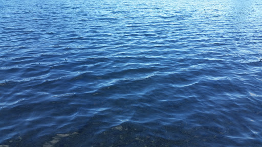 Golf «Tapps Island Golf Course», reviews and photos, 20818 Island Pkwy E, Lake Tapps, WA 98391, USA