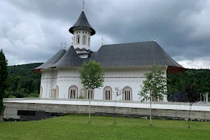 Hermitage Monastery Putna image