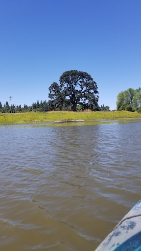 Canoe & Kayak Rental Service «Scappoose Bay Paddling Center», reviews and photos, 57420 Old Portland Rd, Warren, OR 97053, USA