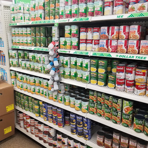 Dollar Store «Dollar Tree», reviews and photos, 1250 William D Tate Ave #400, Grapevine, TX 76051, USA