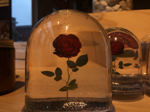 Clothing Store «Urban Outfitters», reviews and photos, 1140 Bardstown Rd, Louisville, KY 40204, USA