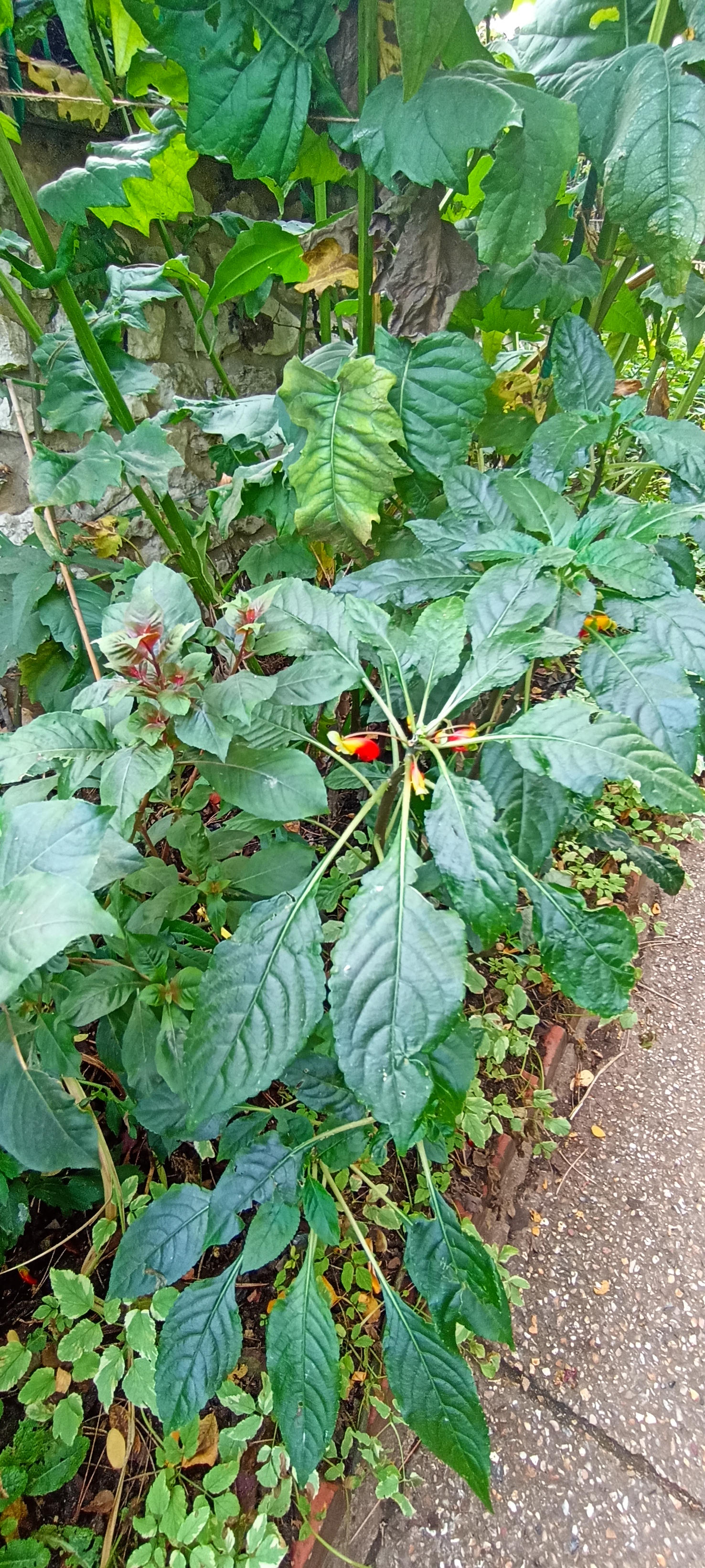 Photo n° 9 de l'avis de Verginia.H fait le 01/11/2022 à 18:08