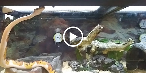 Pet Supply Store «Petco Animal Supplies», reviews and photos, 31419 Pacific Hwy S, Federal Way, WA 98003, USA