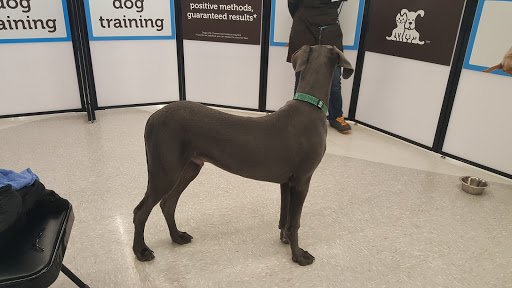 Pet Supply Store «Petco Animal Supplies», reviews and photos, G3559 Miller Rd, Flint, MI 48507, USA