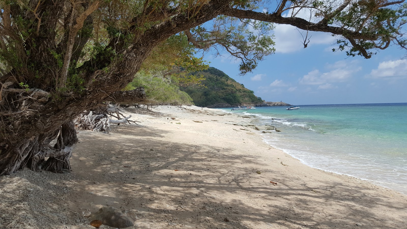 Hon Cau Beach'in fotoğrafı çok temiz temizlik seviyesi ile