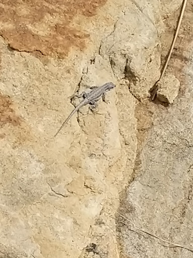 Winery «Arc De Texas», reviews and photos, 4555 US-281, Johnson City, TX 78636, USA