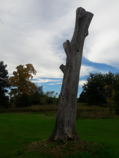 Public Golf Course «Reddeman Farms Golf & Banquets», reviews and photos, 555 S Dancer Rd, Chelsea, MI 48118, USA