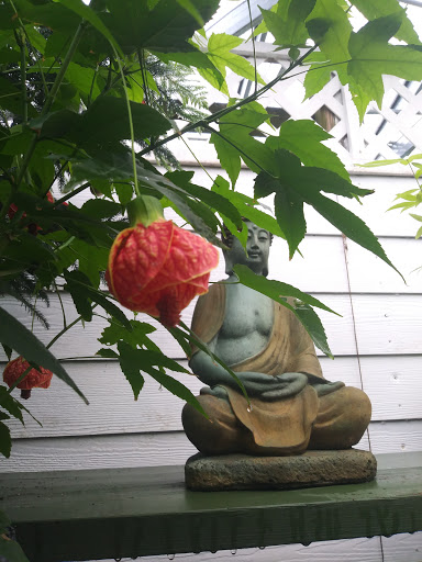 Florist «Thai-Rific Orchids Inc», reviews and photos, 5313 Gulfport Blvd S, Gulfport, FL 33707, USA