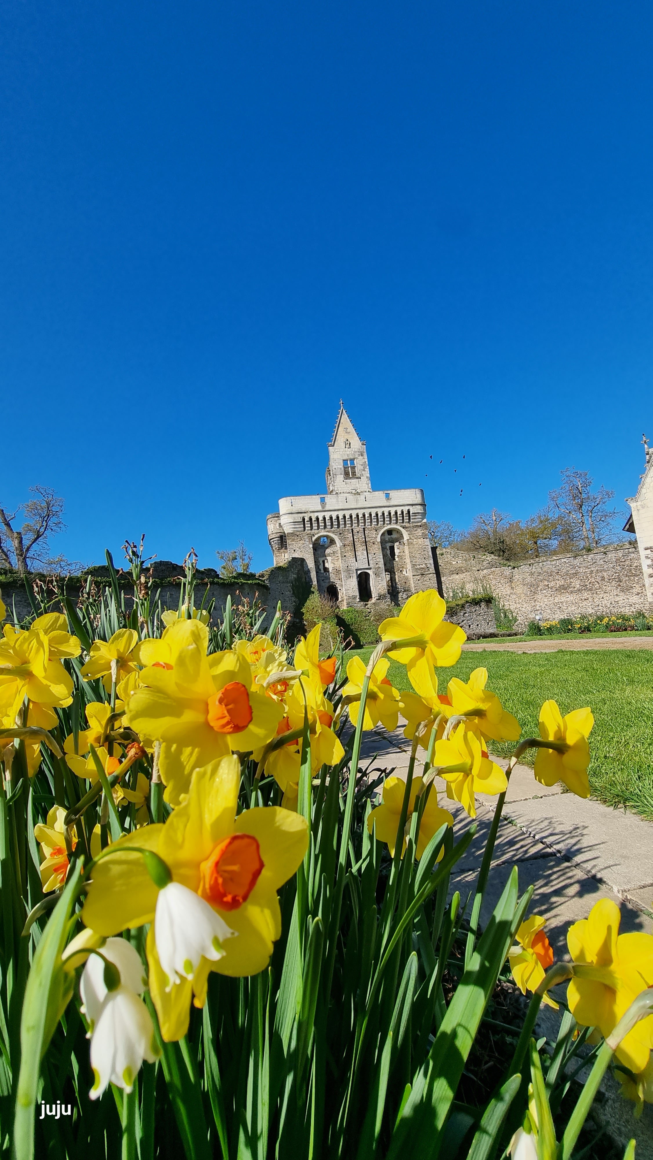Photo n° 10 de l'avis de Juju.. fait le 28/04/2023 à 08:20
