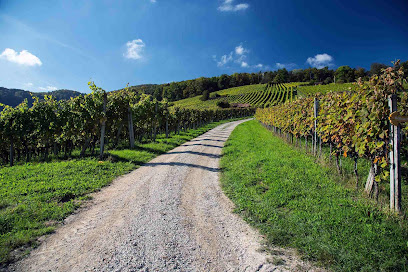 Weinbaugenossenschaft Schinznach-Dorf
